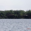 006 LOANGO 3 Campement Loango Sud la Lagune Ndogo Baignade Elephants 16E5K3IMG_122533_DxOwtmk.jpg