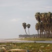 070 LOANGO 3 Campement Loango Sud Petite Lagune Plage Palmiers et Buffles 16E5K3IMG_122655_DxOawtmk.jpg