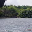 143 LOANGO 3 Campement Loango Sud Marche la Lagune Baignade Elephant A 16E5K3IMG_122768_DxOwtmk.jpg