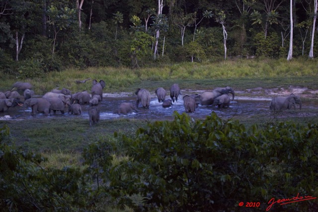 035 MOUPIA 5 Bai Elephants 31 a la Tombee de la Nuit 10E5K2IMG_64576wtmk.jpg