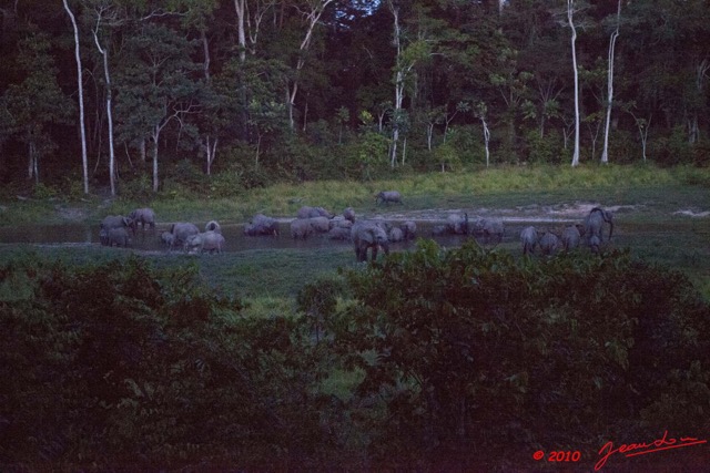 038 MOUPIA 5 Bai Elephants 31 a la Tombee de la Nuit 10E5K2IMG_64584wtmk.jpg