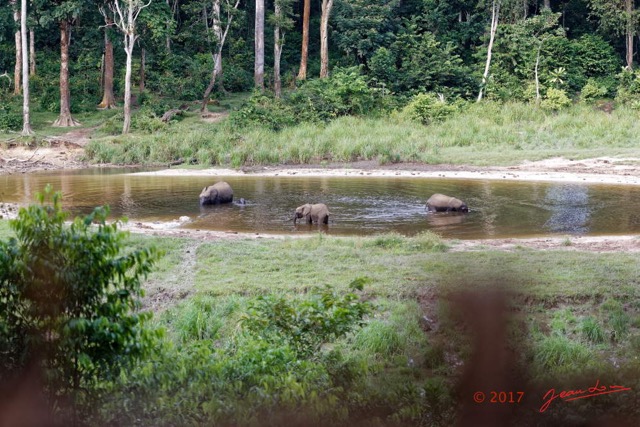 021 MOUPIA 10 Bai 1 Elephants Groupe 4 Pachydermes 17E5K3IMG_123753_DxOwtmk.jpg