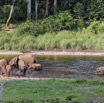 025 MOUPIA 10 Bai 1 Elephants Groupe 9 Pachydermes Baignade 17E5K3IMG_123767_DxOawtmk.jpg