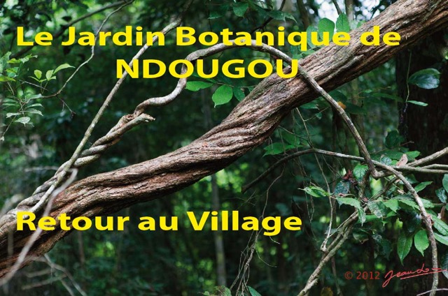 093 Titre Photos Ndougou Retour au Village-01.jpg