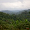 027 CHAILLU Monts et Foret 8EIMG_22677wtmk.jpg