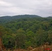 044 CHAILLU Monts et Foret 8EIMG_22683wtmk.jpg