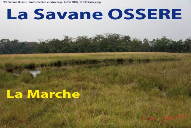 005 Titre Photo Savane Ossere Marche-01.jpg