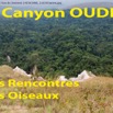 040 Titre Photo Canyon Oudiki Rencontres Oiseaux-01.jpg