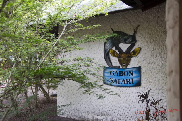 039 LOANGO 2 le Lodge Hall Principal Gabon Safari 15E5K3IMG_106047wtmk.jpg