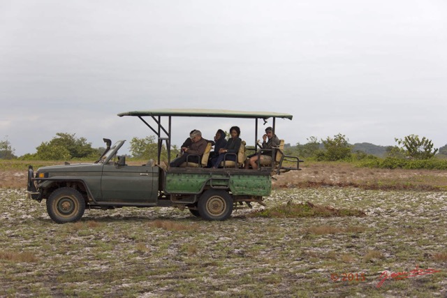 121 LOANGO 2 Tassi Savane Seche et Vehicule Vision Animale le Soir 15E5K3IMG_106551wtmk.jpg