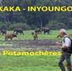 020 Titre Photos AKAKA les Potamocheres-01.jpg