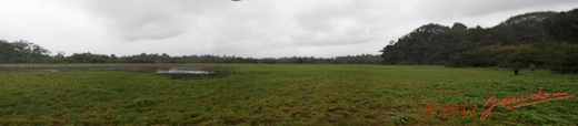 Loango-Inyoungou-Prairie-Pano-4awtmk-Web