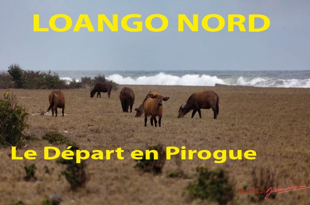 010 Titre Photos Loango Nord Depart Pirogue-01.jpg
