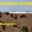 024 Titre Photos Loango Nord Mangrove-01.jpg