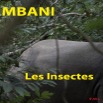098 Titre Photos Mbani Insectes-01.jpg