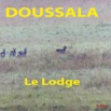 025 Titre Photos Doussala le Lodge-01.jpg