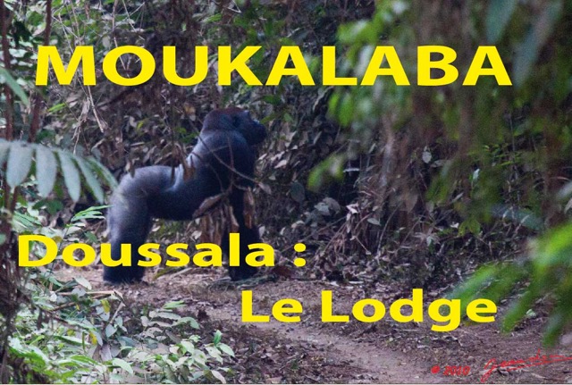 054 Titre Photos Moukalaba Doussala le Lodge.jpg