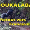 107 Titre Photos Moukalaba Retour vers Franceville.jpg