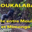 124 Titre Photos Moukalaba Piste entre Mouila et Mimongo.jpg