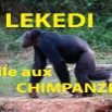 003 Titre Photos Lekedi Ile Chimpanzes.jpg