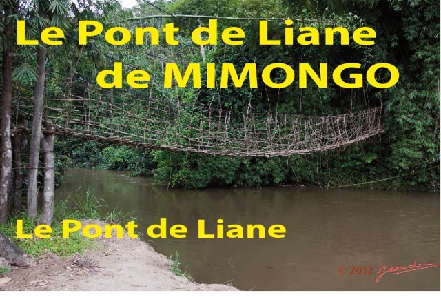 011 Titre Photos Pont Liane Mimongo le Pont-01.jpg