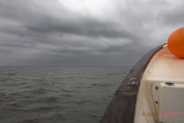 004 Baleines de Libreville Navigation 13E5K3IMG_93317wtmk.jpg
