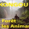 114 Titre Photos Kongou Animaux.jpg