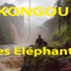 190 Titre Photos Kongou Elephants.jpg