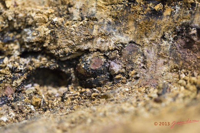 050 AMBINDA les Fossiles Nodules dans leur Gangue 13E5K3IMG_94102wtmk.jpg