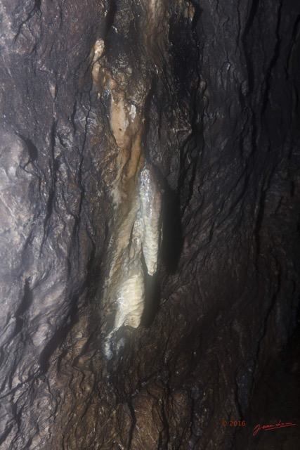 051 LIPOPA 1 la Grotte Paroi avec Stalactite 16E5K3IMG_120271wtmk.jpg