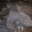 025 MISSIE la Grotte Effondrement Rocheux et Guano de Chauves-Souris 16E5K3IMG_120350wtmk.jpg