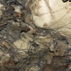 045 MISSIE la Grotte Paroi avec Incrustations de Roches 16E5K3IMG_120386wtmk.jpg