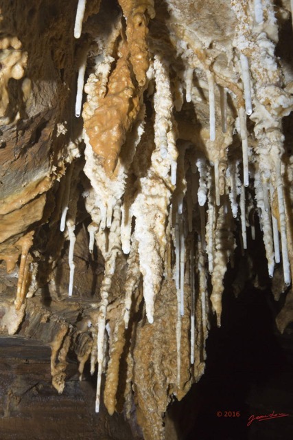 053 BOUKAMA la Grotte Cavite 1 avec Fistuleuses 16E5K3IMG_120039wtmk.jpg