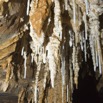053 BOUKAMA la Grotte Cavite 1 avec Fistuleuses 16E5K3IMG_120039wtmk.jpg