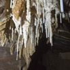 055 BOUKAMA la Grotte Cavite 1 avec Fistuleuses 16E5K3IMG_120043wtmk.jpg