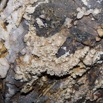 069 BOUKAMA la Grotte Formations en Developpement 16E5K3IMG_119943wtmk.jpg