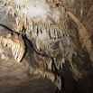 093 BOUKAMA la Grotte Cavite 2 Plafond avec Fistuleuses 16E5K3IMG_120063wtmk.jpg