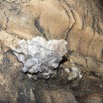 110 BOUKAMA la Grotte Paroi et Excroissance Rocheuse 16E5K3IMG_119984wtmk.jpg
