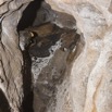 125 BOUKAMA la Grotte Tunnel de Passage 16E5K3IMG_119956wtmk.jpg
