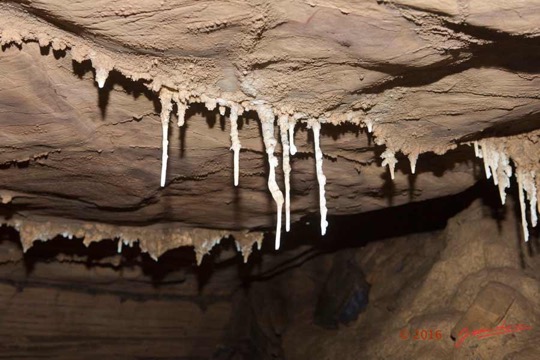 BOUKAMA-la-Grotte-Cavite-2-Plafond-avec-Fistuleuses-16E5K3IMG_120073wtmk-Web