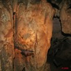 012 KELANGO Grotte Cavite avec Chauve-Souris 8EIMG_20050WTMK.JPG