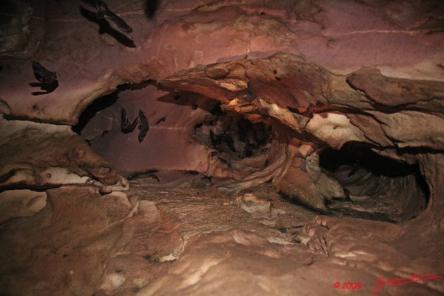 016 KELANGO Grotte Cavite avec Chauve-Souris 8EIMG_20066WTMK.JPG