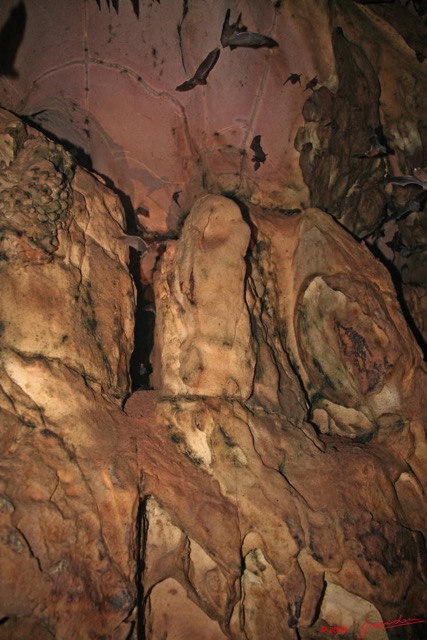 023 KELANGO Grotte Concretion avec Chauve-Souris 8EIMG_20085WTMK.JPG