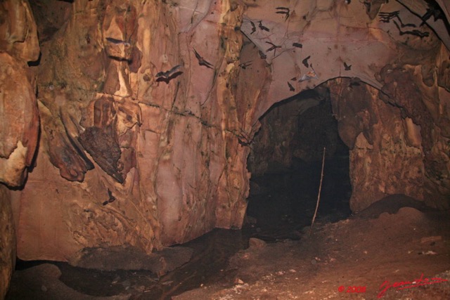 028 KELANGO Grotte Tunnel 8EIMG_20093WTMK.JPG