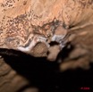 048 Grotte de PAHON Incrustation de Roche 8EIMG_25377wtmk.jpg