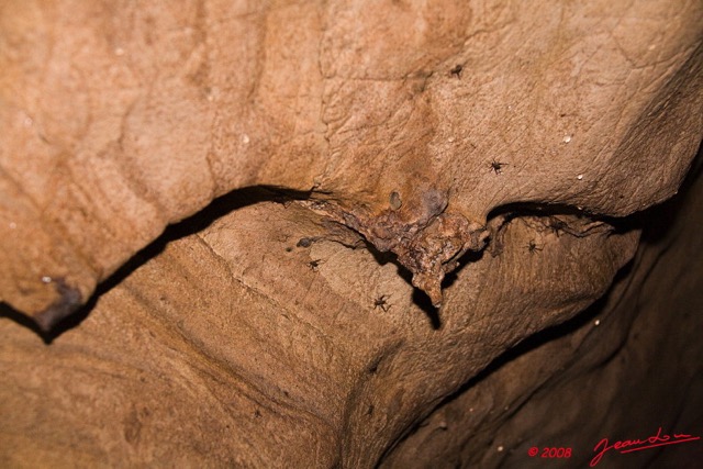 054 Grotte de PAHON Paroi avec Concretions 8EIMG_25397wtmk.jpg