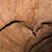 054 Grotte de PAHON Paroi avec Concretions 8EIMG_25397wtmk.jpg