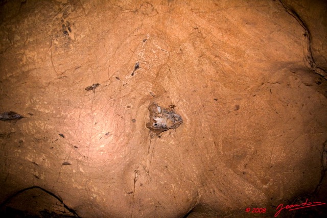 056 Grotte de PAHON Paroi avec Roche 8EIMG_25398wtmk.jpg