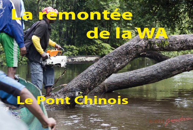 100 Titre Photos Remontee Wa Pont Chinois-01.jpg