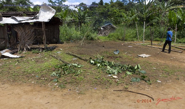 086 BITOUGA le Village Construction Hutte Traditionnelle Pygmee 14E5K3IMG_97894wtmk.jpg